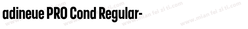 adineue PRO Cond Regular字体转换
